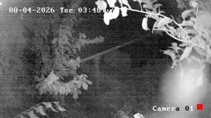 Caméra IP - RU