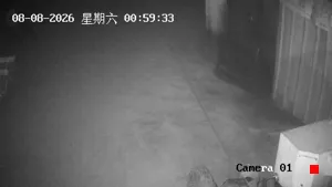 Caméra IP - CN