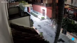 Caméra IP - IT