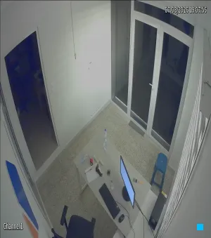 Caméra IP - DZ