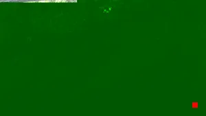 Caméra IP - IR