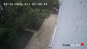 Caméra IP - GR