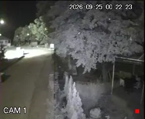 Caméra IP - BG