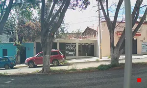 Caméra IP - MX