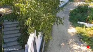 Caméra IP - MD