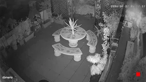 Caméra IP - IT