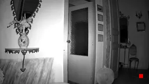 Caméra IP - IT
