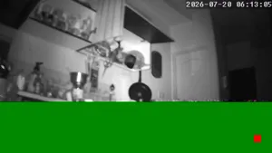 Caméra IP - IR