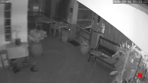 Caméra IP - IT
