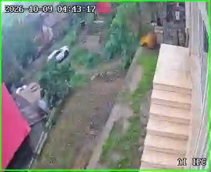 Caméra IP - IR
