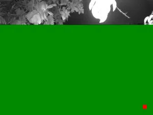 Caméra IP - TW