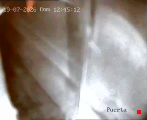 Caméra IP - AR