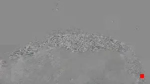 Caméra IP - IT