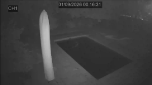 Caméra IP - ZA