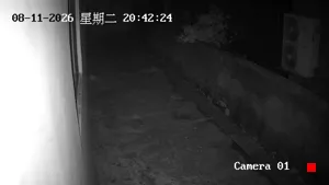 Caméra IP - CN