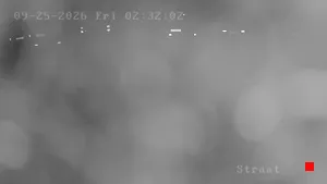 Caméra IP - NL