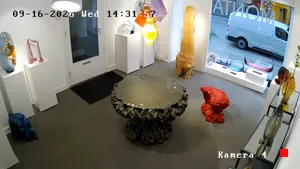 Caméra IP - DK