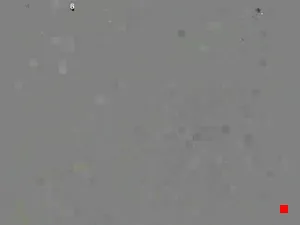 Caméra IP - IT