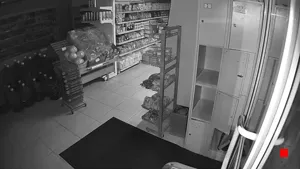 Caméra IP - IR