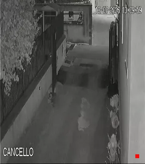Caméra IP - IT