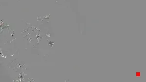 Caméra IP - IT