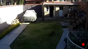 Caméra IP - BO