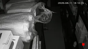 Caméra IP - MX