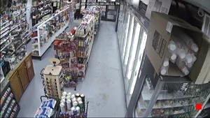 Caméra IP - US