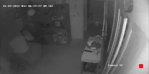 Caméra IP - DO