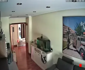Caméra IP - ES