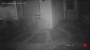 Caméra IP - UY
