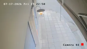 Caméra IP - GR