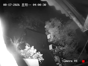 Caméra IP - CN