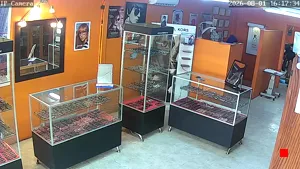 Caméra IP - MX