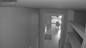 Caméra IP - IT
