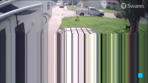 Caméra IP - US