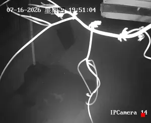 Caméra IP - CN
