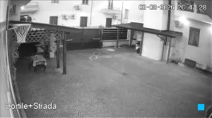 Caméra IP - IT