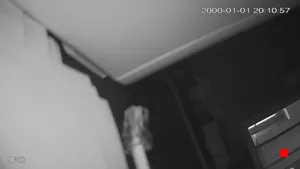 Caméra IP - IT
