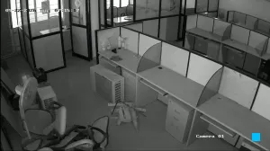Caméra IP - IN