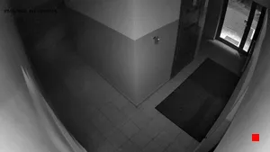 Caméra IP - PL