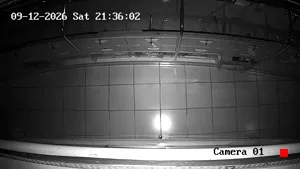 Caméra IP - TH