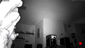 Caméra IP - DE