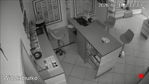 Caméra IP - PL