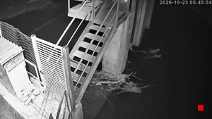 Caméra IP - IT