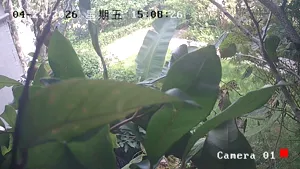 Caméra IP - CN