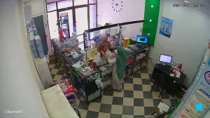 Caméra IP - DZ