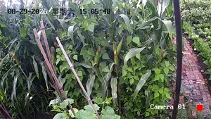 Caméra IP - CN