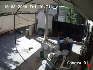 Caméra IP - MX