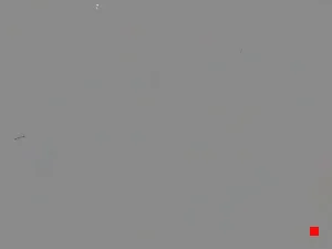 Caméra IP - ES